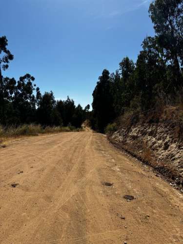 PARCELA Fundo Santa Rosa de Bucalemu