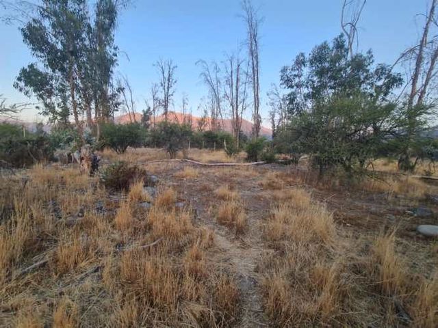 SITIO Calle Las ilusiones con Calle Los Copihues