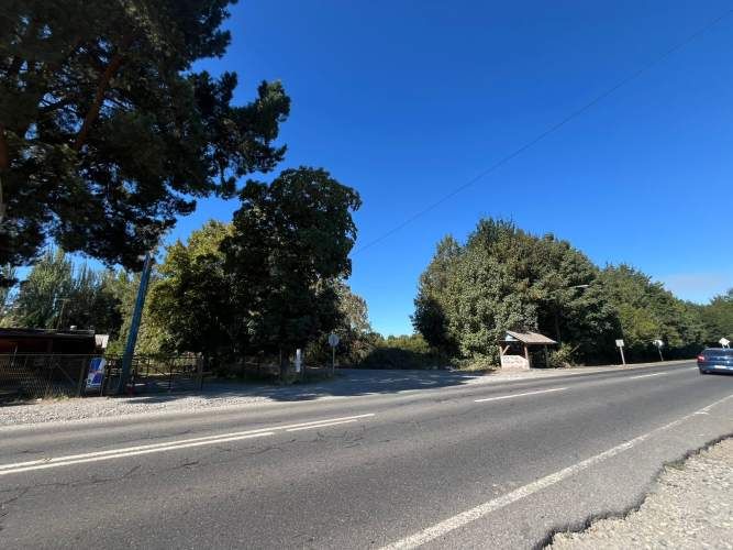 VENTA PARCELA 5000MTS Freire