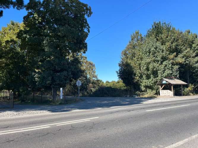 VENTA PARCELA 5000MTS Freire