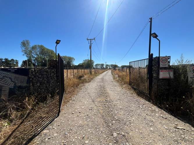 VENTA PARCELA 5000MTS Freire