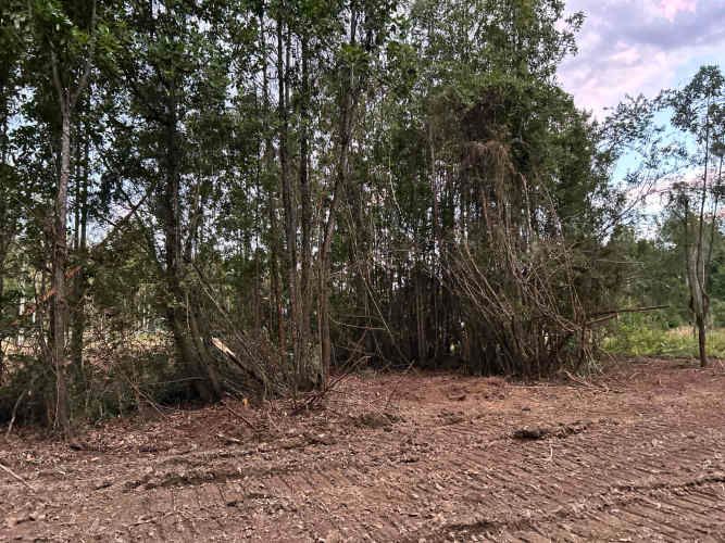 Vendo Parcela de 5.000m2 saneada, con luz y agua