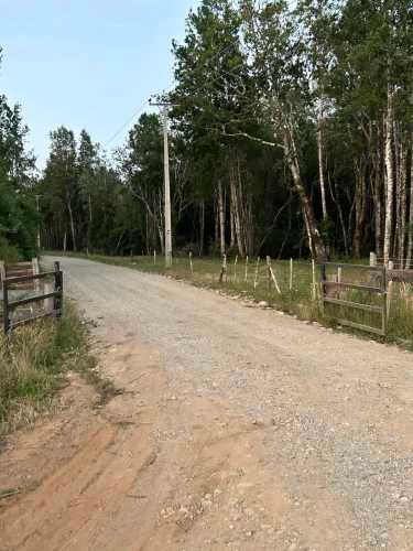 Vendo Parcela de 5.000m2 saneada, con luz y agua