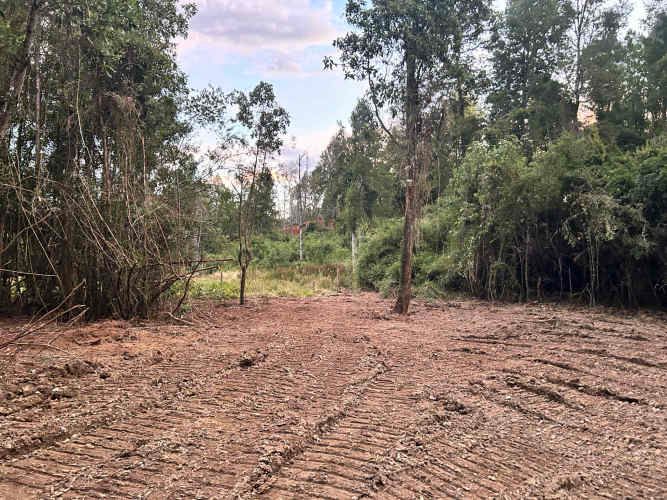 Vendo Parcela de 5.000m2 saneada, con luz y agua