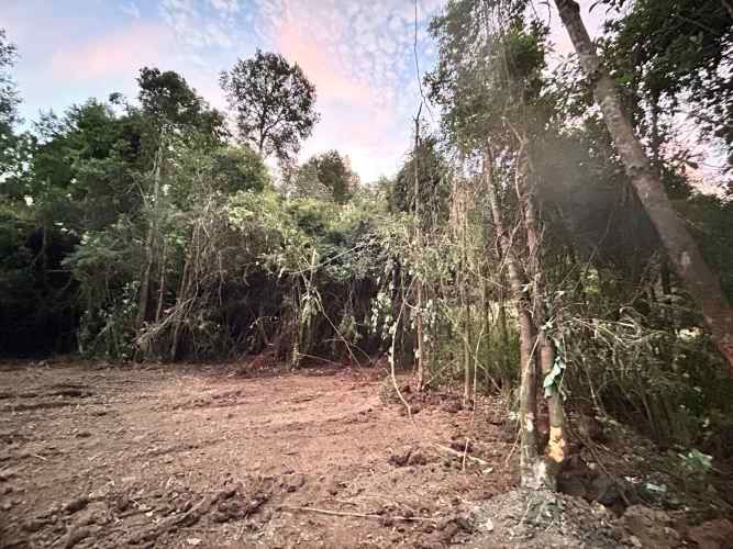 Vendo Parcela de 5.000m2 saneada, con luz y agua