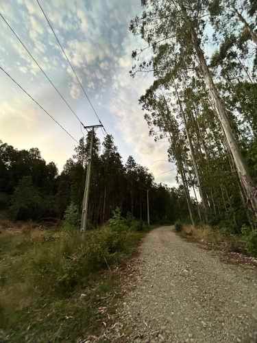 Vendo Parcela de 5.000m2 saneada, con luz y agua