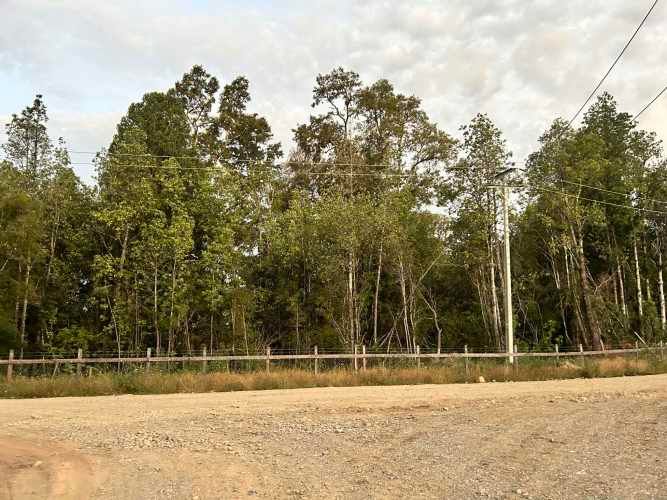 Vendo Parcela de 5.000m2 saneada, con luz y agua