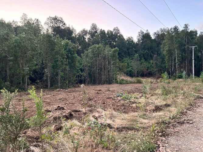 Vendo Parcela de 5.000m2 saneada, con luz y agua