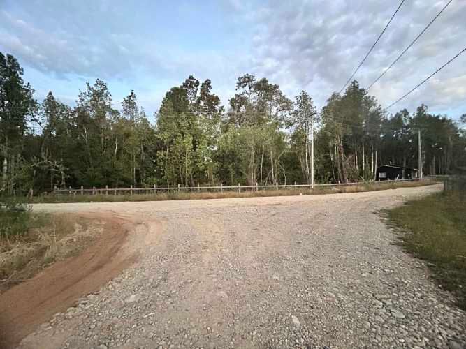 Vendo Parcela de 5.000m2 saneada, con luz y agua