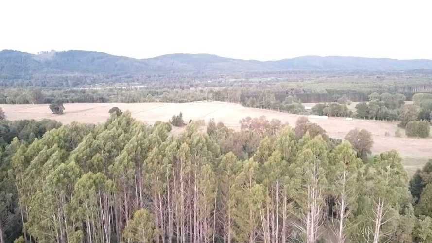 Vendo Parcela de 5.000m2 saneada, con luz y agua