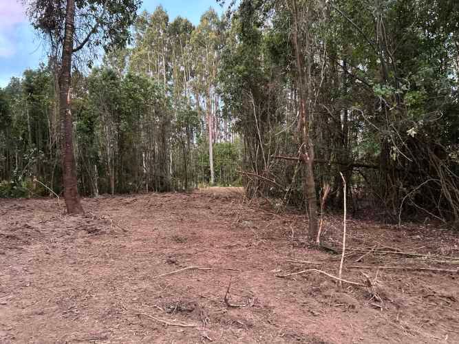 Vendo Parcela de 5.000m2 saneada, con luz y agua