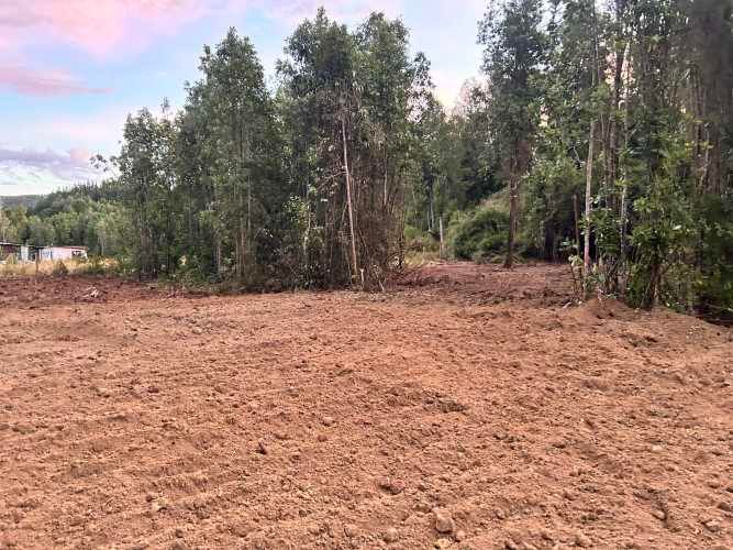 Vendo Parcela de 5.000m2 saneada, con luz y agua