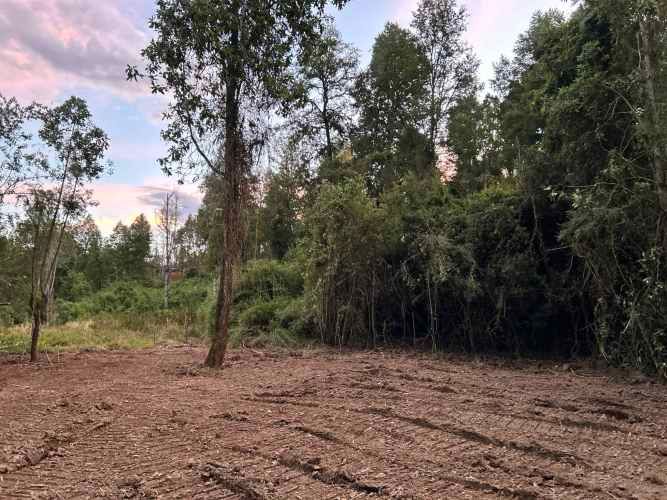 Vendo Parcela de 5.000m2 saneada, con luz y agua