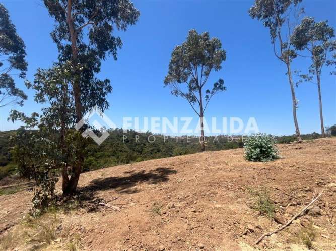 PARCELA Navidad Matanza