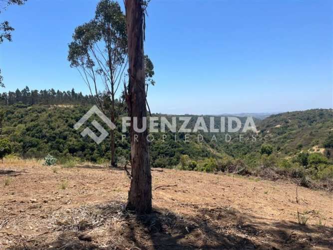 PARCELA Navidad Matanza