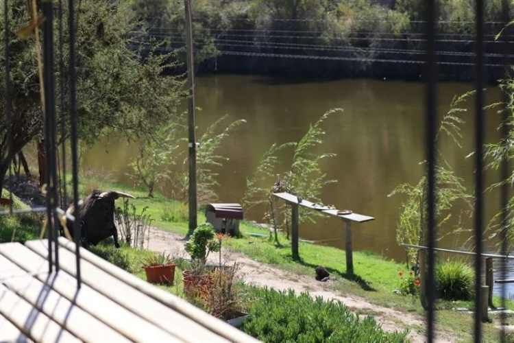 PARCELA Lomas de San antonio, camino a Codigua