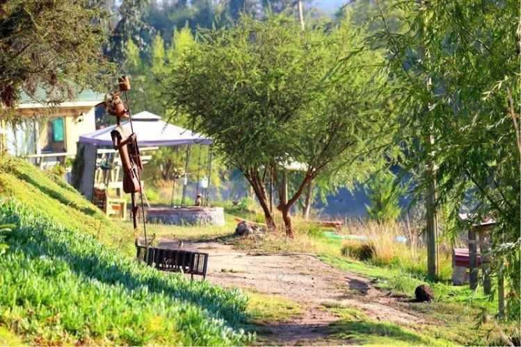 PARCELA Lomas de San antonio, camino a Codigua