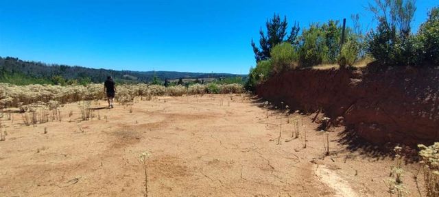 SITIO Sector Puente 7, Ruta O-420, Florida