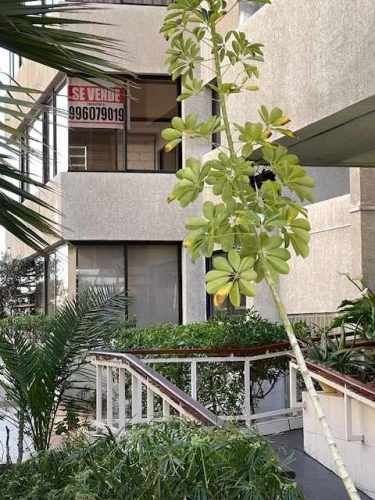 SE VENDE AMPLIO DEPARTAMENTO EN AV BRASIL EDIFICIO LOS INMIGRANTES