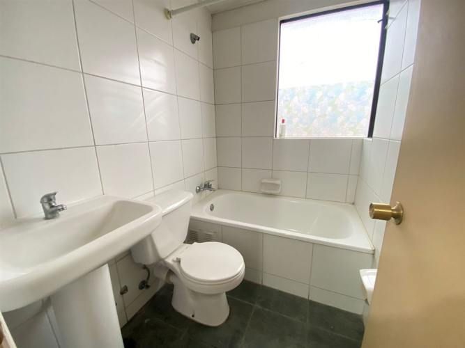 CASA PJ CALETA TOLTEL CON PTO MADERO / Se Vende Casa 3 Dormitorios 3 Baños 2 Estacionamientos