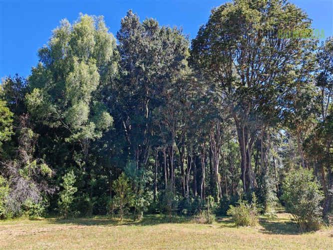 PARCELA Marina Ensenada