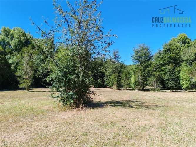 PARCELA Marina Ensenada