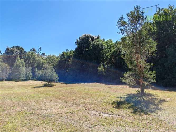 PARCELA Marina Ensenada