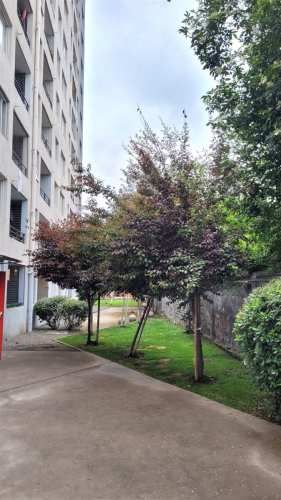 DEPARTAMENTO Trinidad Ramirez