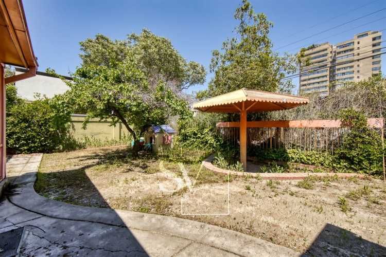 LOCAL COMERCIAL Capitán Crosbie