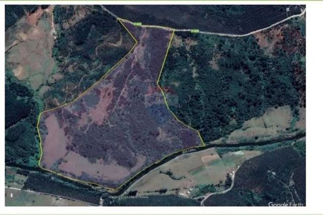 Fundo en venta 102 ha prov. arauco