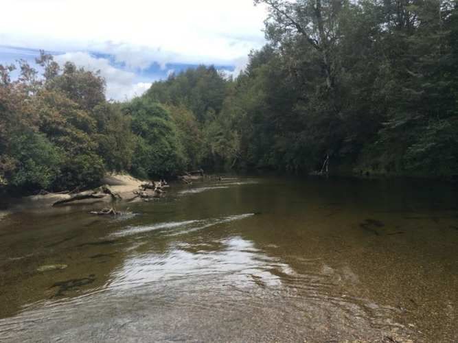 SITIO Gamboa / Castro