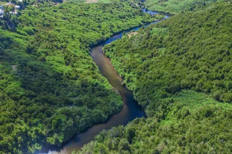 SITIO Gamboa / Castro