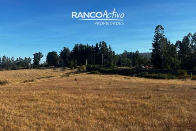 PARCELA CAMINO HUICHAHUE KM2