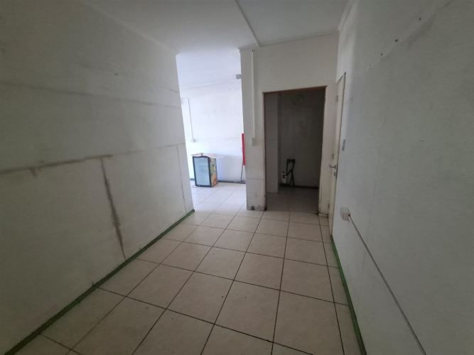 LOCAL COMERCIAL Sector estadio