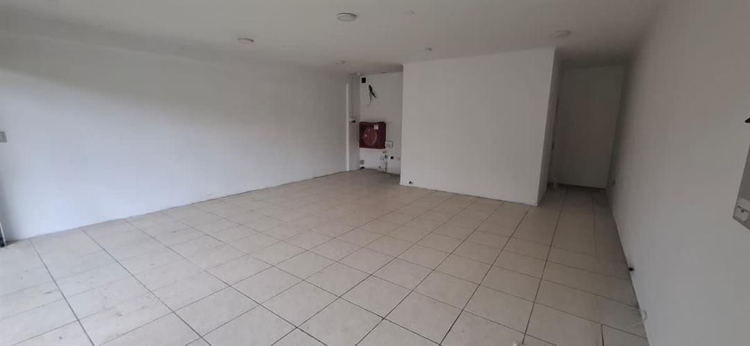 LOCAL COMERCIAL Sector estadio