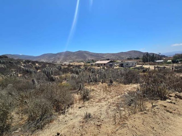A 10 min del aeropuerto de La Serena, Camino al Valle de Elqui.