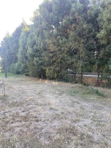 Se vende parcela en Arique facilidad de pago orilla de carretera