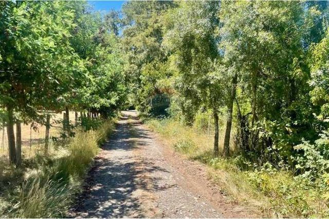 Venta de parcela en comuna de cunco,  ruta s-61