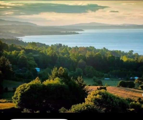 PARCELA INVERSIONISTAS! Lodge funcionando a 5 min del centro de Pucón.