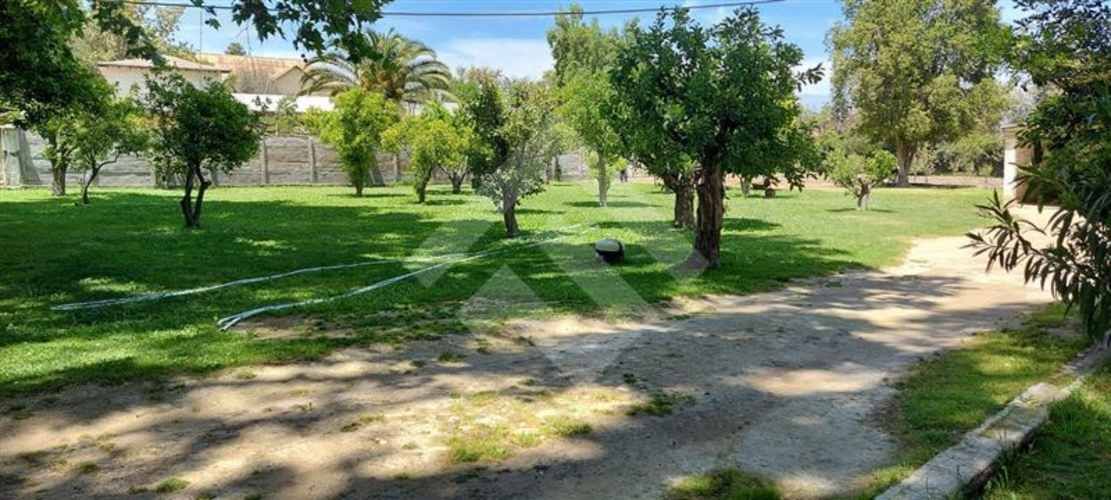 LOCAL COMERCIAL Isla de Maipo Centro