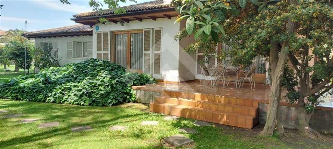 LOCAL COMERCIAL Isla de Maipo Centro