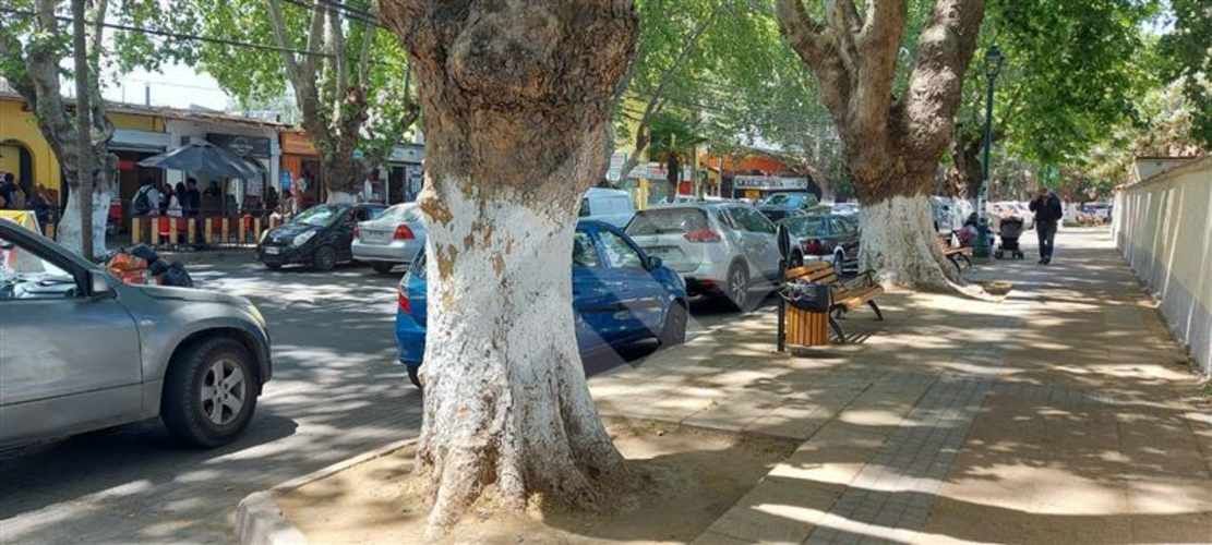 LOCAL COMERCIAL Isla de Maipo Centro
