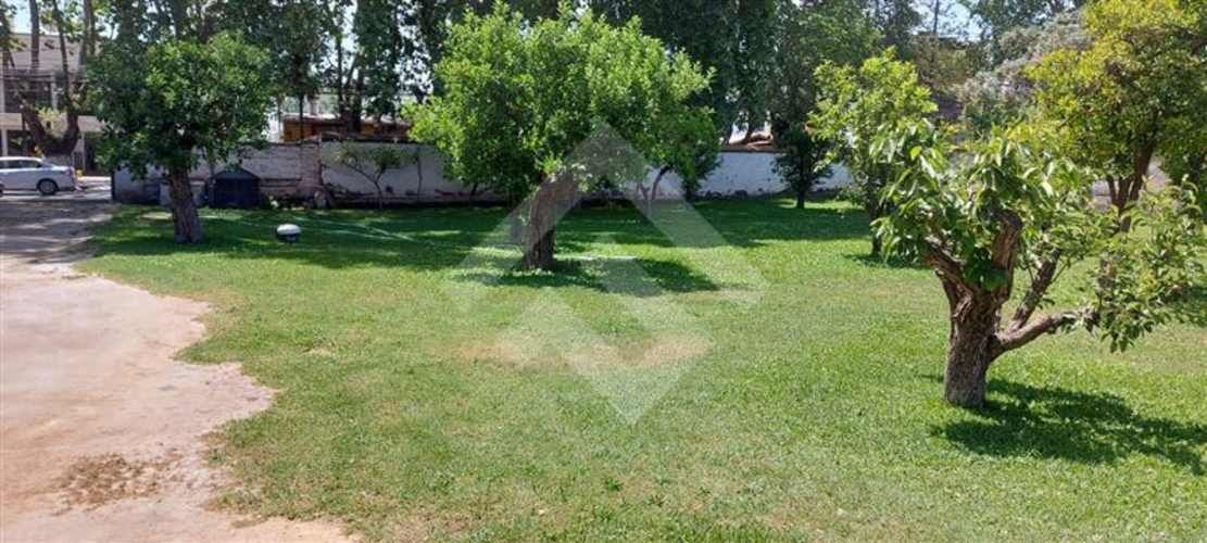 LOCAL COMERCIAL Isla de Maipo Centro