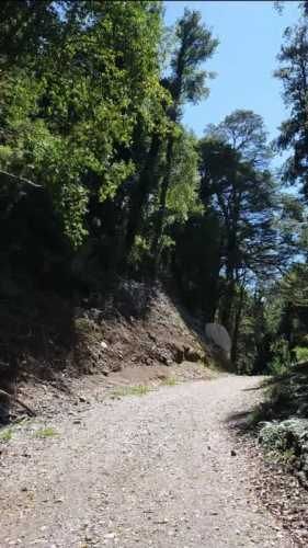 RÍO CISNES LOTE 14 LA MAGIA