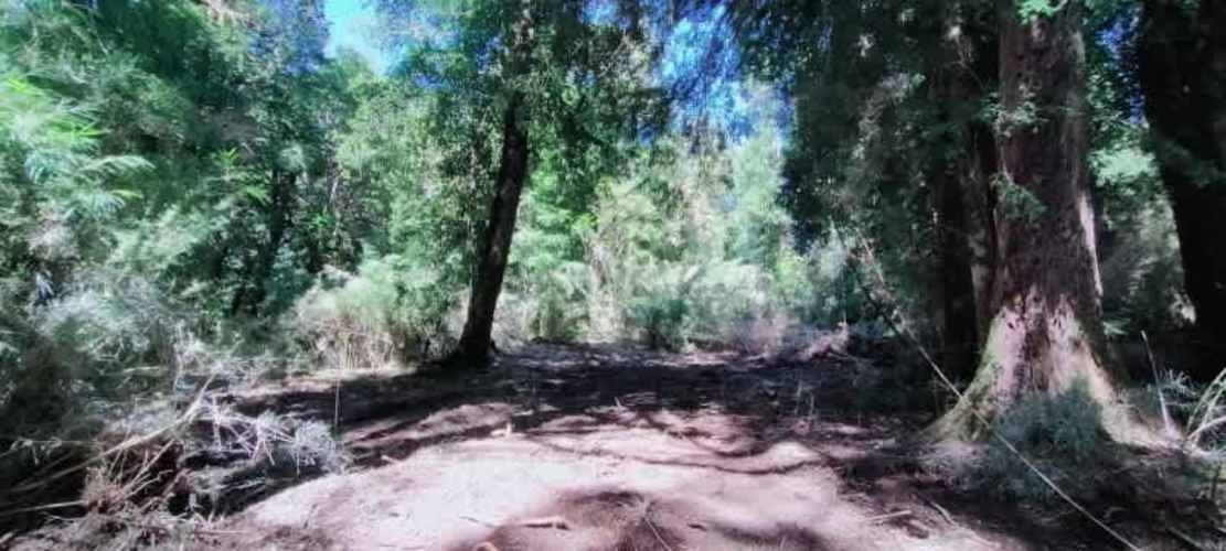 RÍO CISNES LOTE 14 LA MAGIA