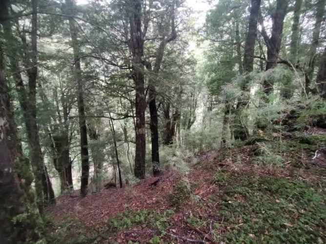 RÍO CISNES LOTE 14 LA MAGIA