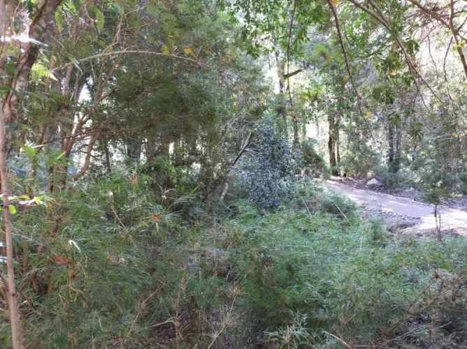 RÍO CISNES LOTE 14 LA MAGIA