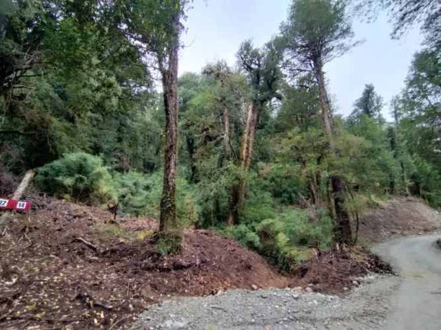 RÍO CISNES LOTE 14 LA MAGIA