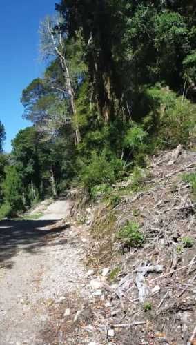 RÍO CISNES LOTE 14 LA MAGIA