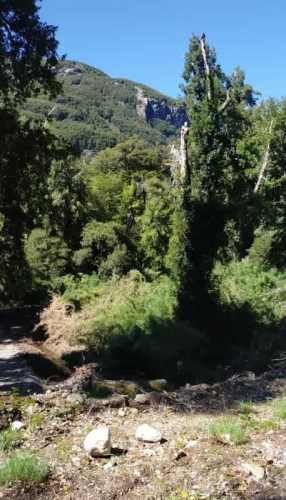 RÍO CISNES LOTE 14 LA MAGIA